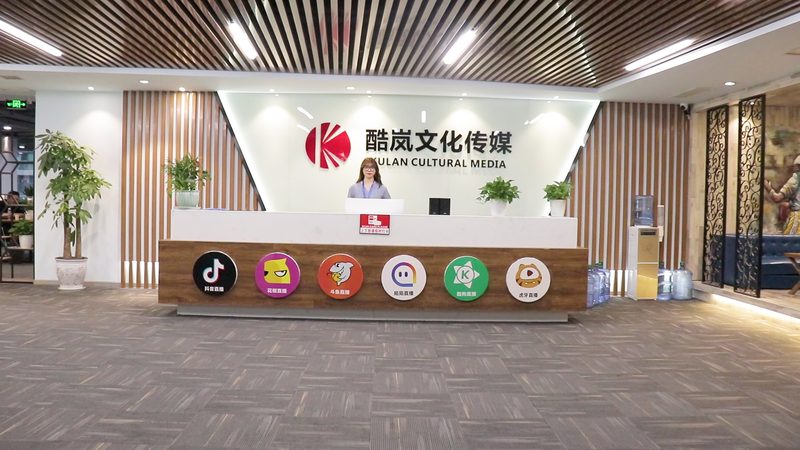 影视制作加盟代理费用：揭秘背后的行业逻辑